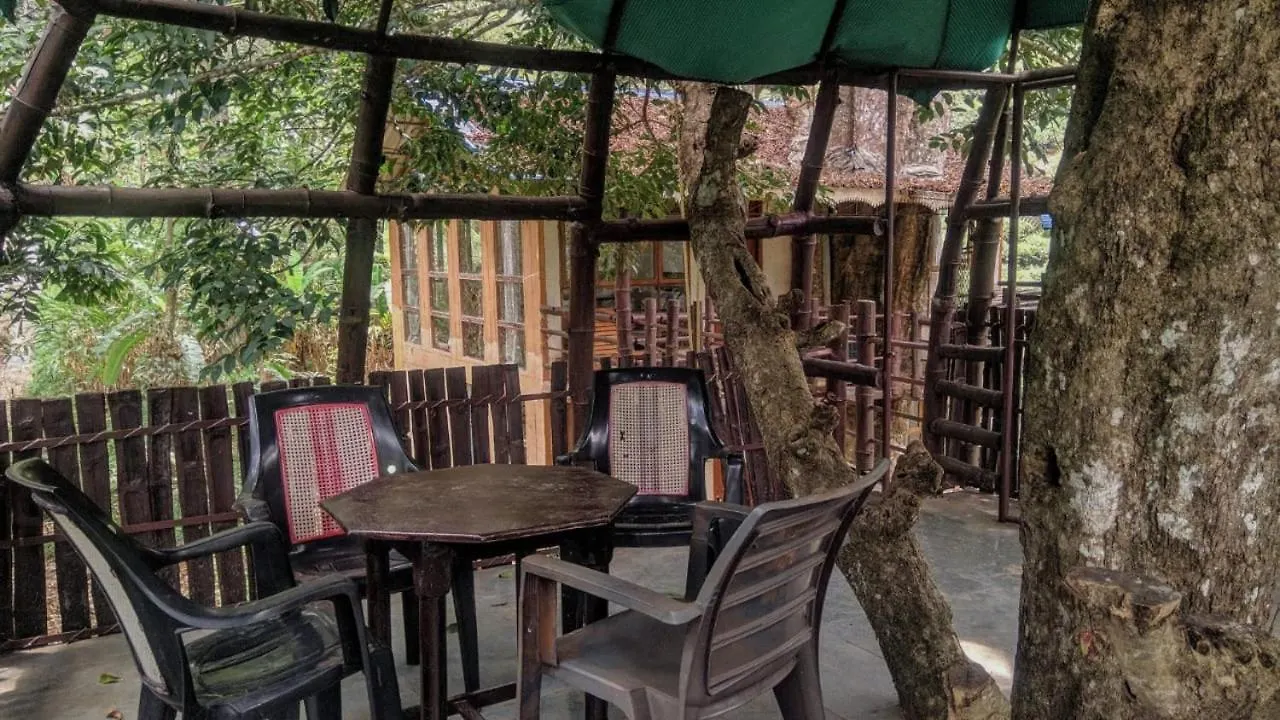 Hotel Jungle Jive Tree House Munnar
