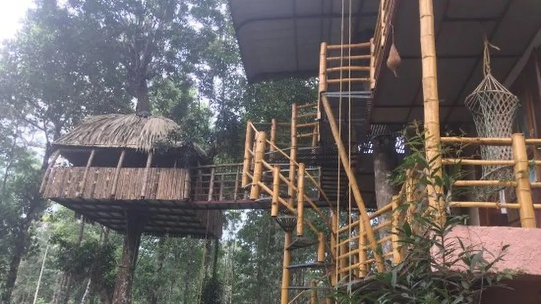 Hotel Jungle Jive Tree House Munnar Kemping
