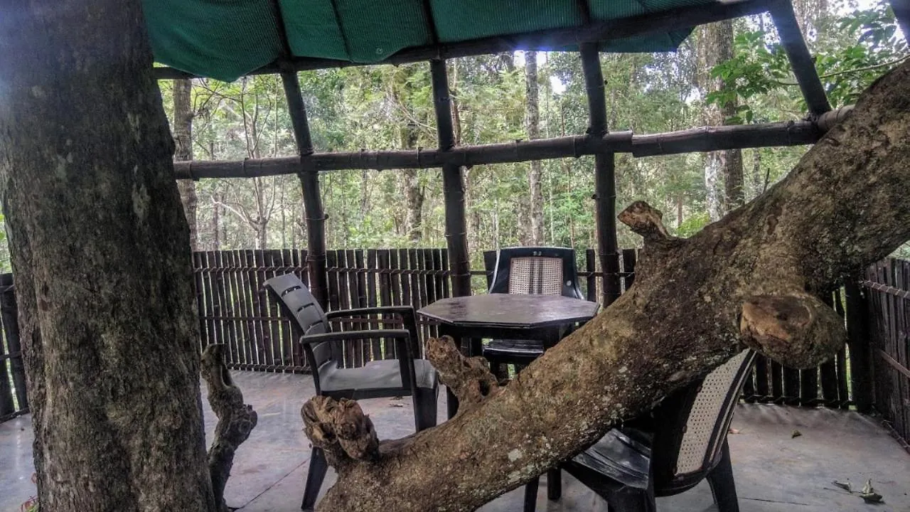 Hotel Jungle Jive Tree House Munnar Kemping