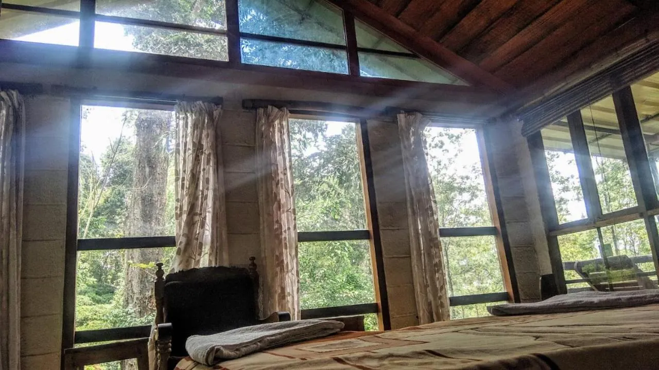 Hotel Jungle Jive Tree House Munnar 0*,