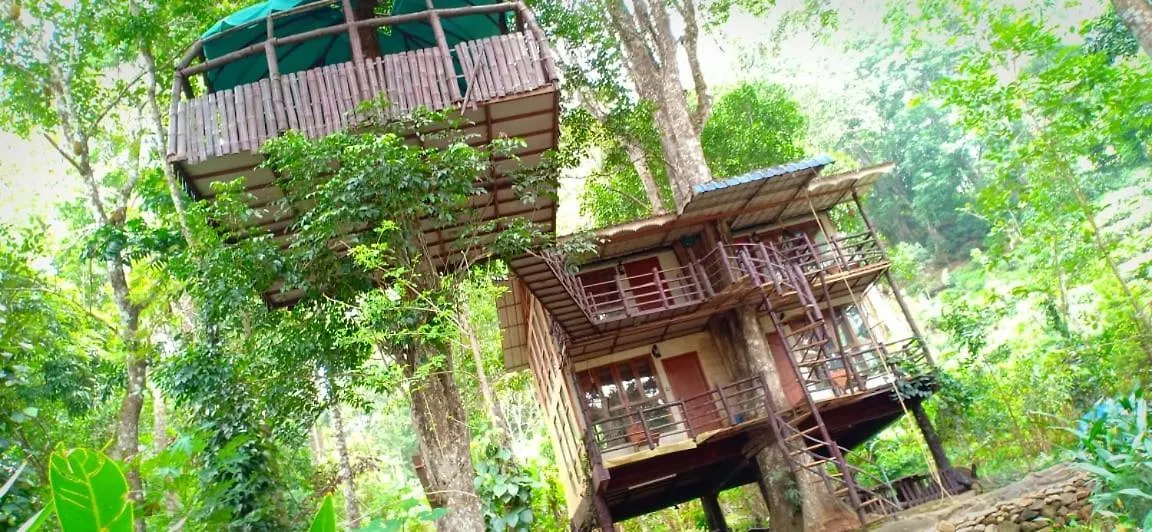 Hotel Jungle Jive Tree House Munnar