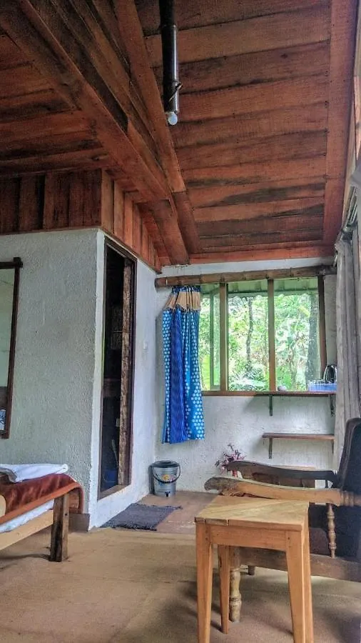 Hotel Jungle Jive Tree House Munnar Kemping