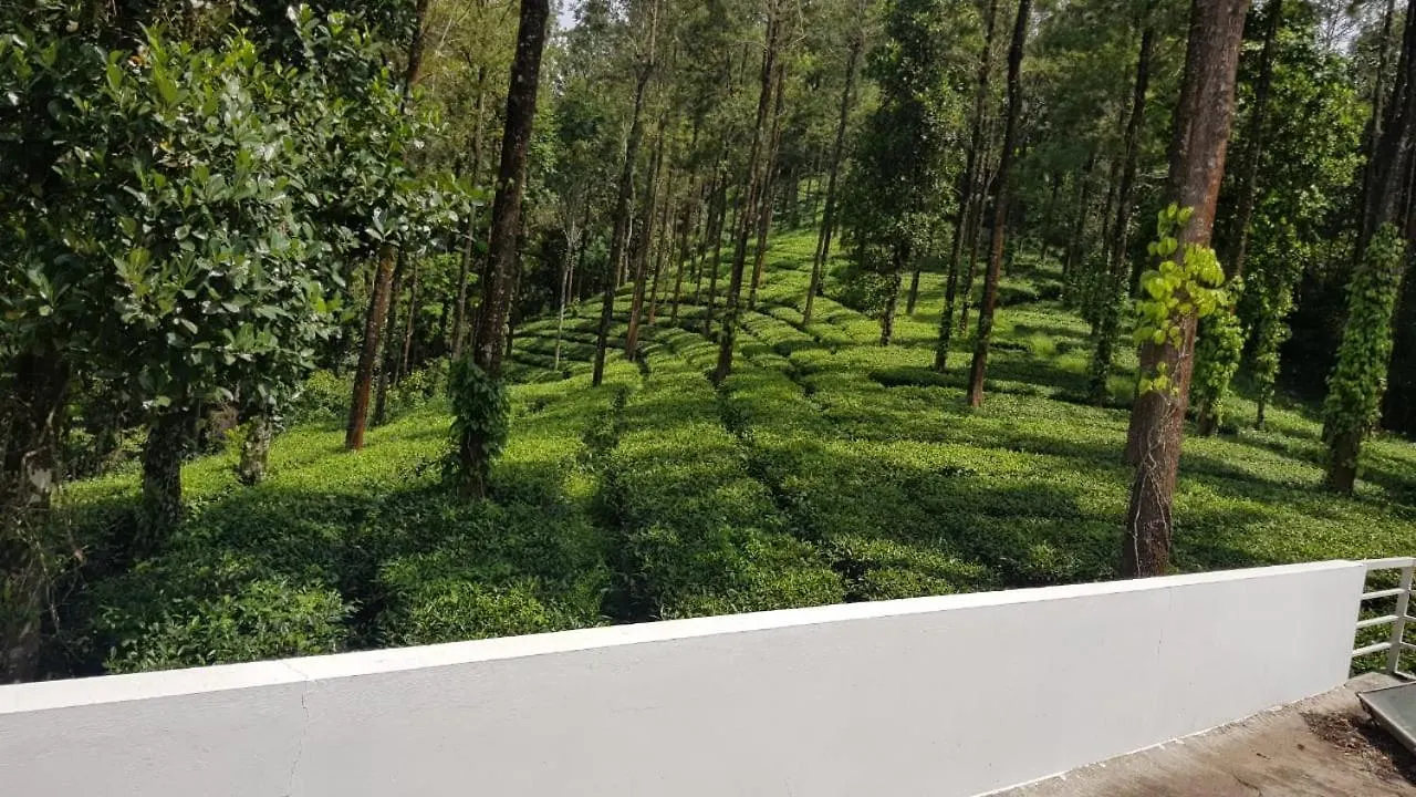 Hotel Jungle Jive Tree House Munnar