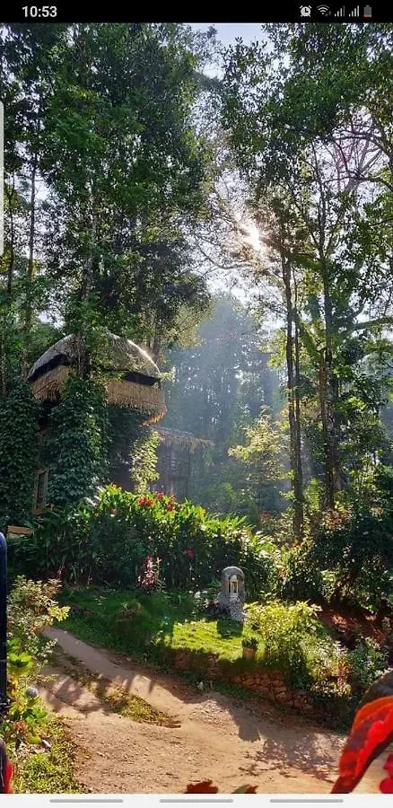 Hotel Jungle Jive Tree House Munnar