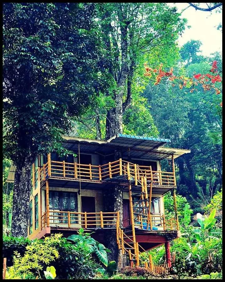 Kemping Hotel Jungle Jive Tree House Munnar Indie