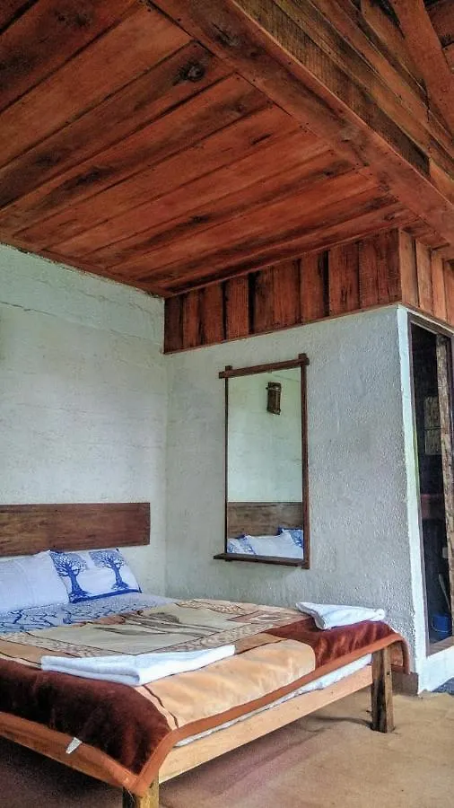 Kemping Hotel Jungle Jive Tree House Munnar Indie